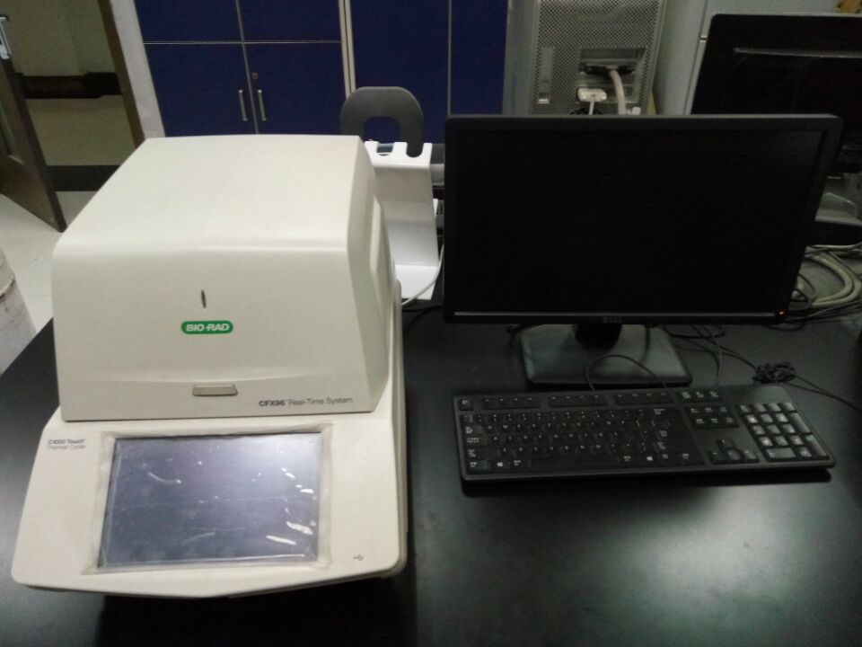 CFX96-PCR仪